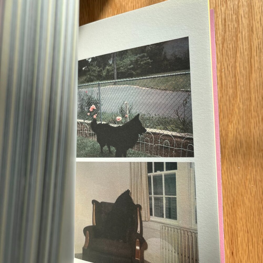 Awesome Photography Book - Picture 6 of 8
